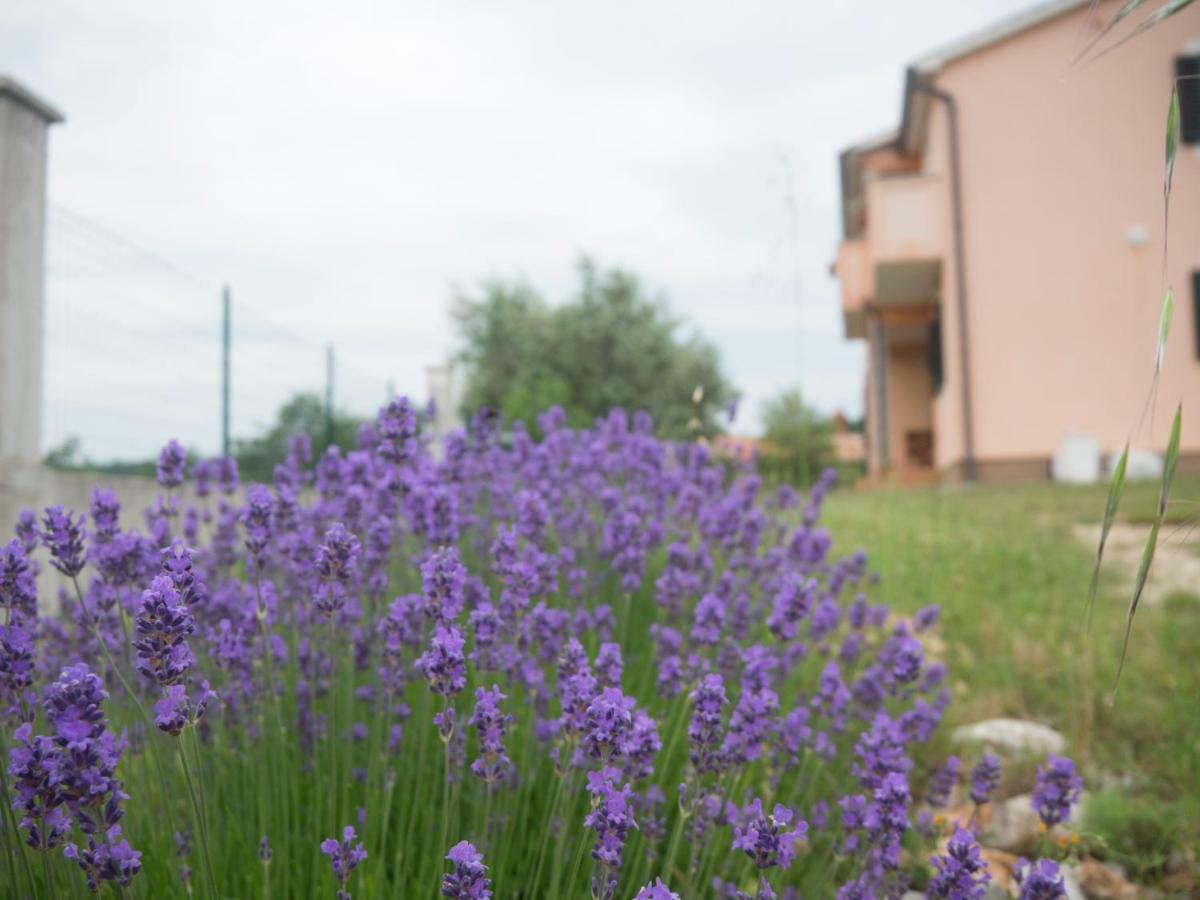 Apartment Lavandula Лабин Екстер'єр фото